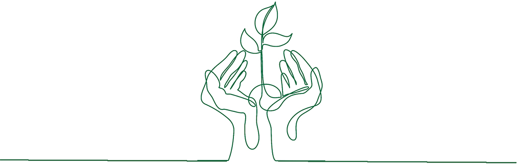 Illustration av planta